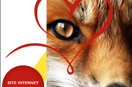 Portez un regard neuf sur le site Internet de votre AAVA !